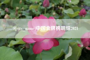 万宁中国金牌榜明细2021