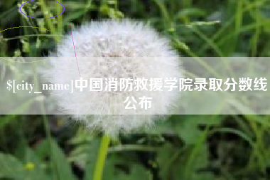 万宁中国消防救援学院录取分数线公布