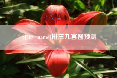 万宁排三九宫图预测