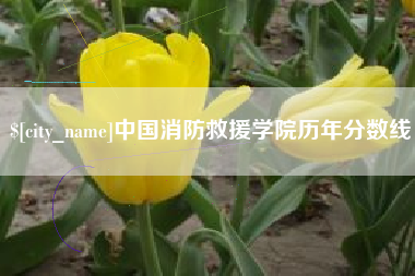 万宁中国消防救援学院历年分数线