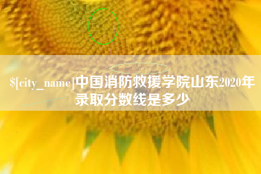 万宁中国消防救援学院山东2020年录取分数线是多少