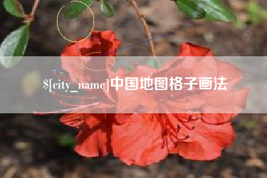 万宁中国地图格子画法