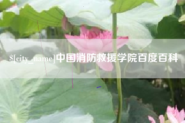 万宁中国消防救援学院百度百科