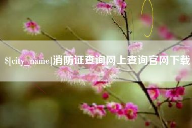 万宁消防证查询网上查询官网下载