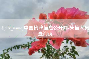 万宁中国执政信息公开网-失信人员查询页