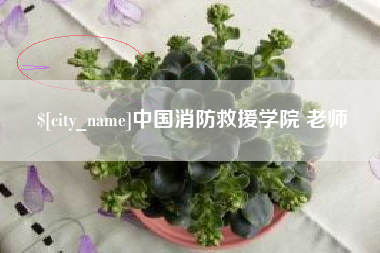 万宁中国消防救援学院 老师