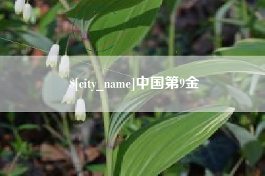 万宁中国第9金