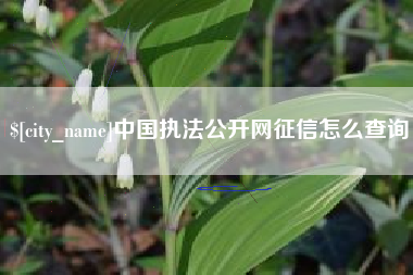 万宁中国执法公开网征信怎么查询