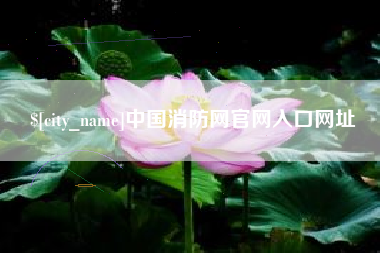 万宁中国消防网官网入口网址