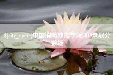 万宁中国消防救援学院2019录取分数线