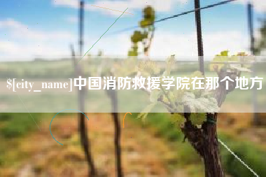 万宁中国消防救援学院在那个地方