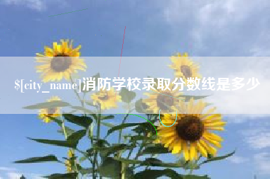 万宁消防学校录取分数线是多少