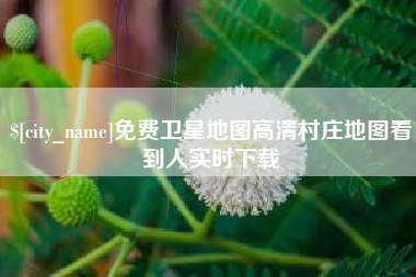 万宁免费卫星地图高清村庄地图看到人实时下载