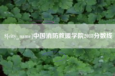 万宁中国消防救援学院2018分数线