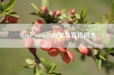 万宁2021年九宫格风水