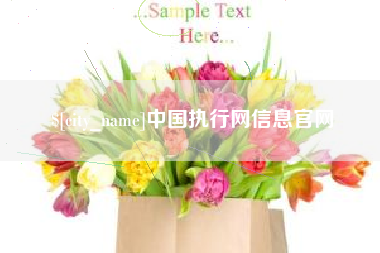 万宁中国执行网信息官网
