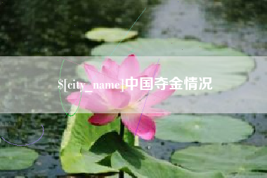 万宁中国夺金情况