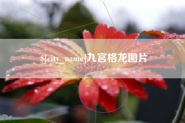 万宁九宫格龙图片