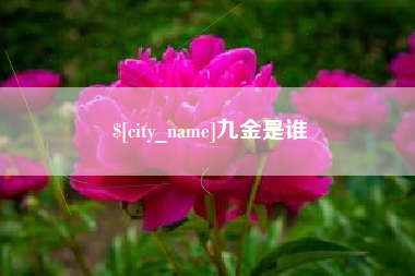 万宁九金是谁