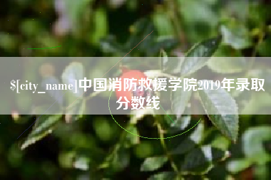 万宁中国消防救援学院2019年录取分数线