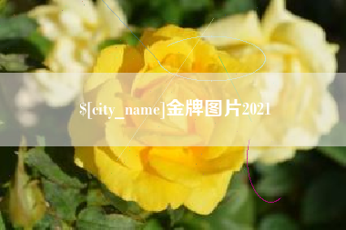万宁金牌图片2021