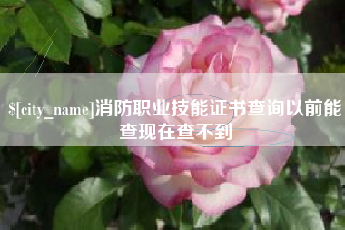 万宁消防职业技能证书查询以前能查现在查不到