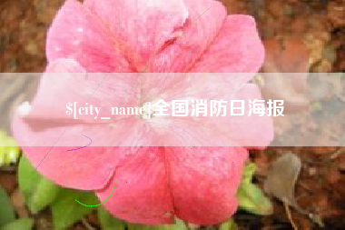 万宁全国消防日海报