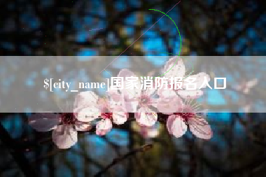 万宁国家消防报名入口