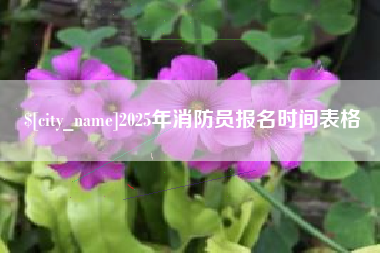 万宁2025年消防员报名时间表格