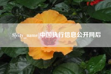 万宁中国执行信息公开网后
