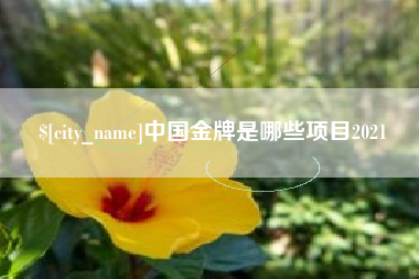 万宁中国金牌是哪些项目2021