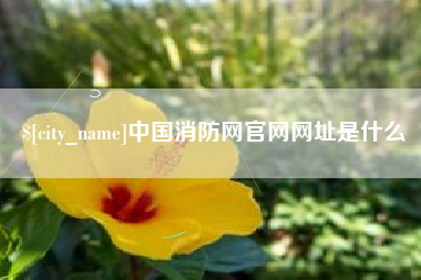 万宁中国消防网官网网址是什么
