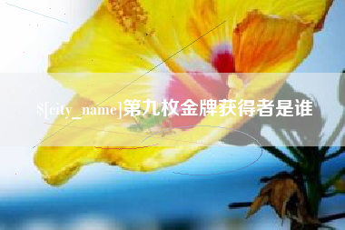 万宁第九枚金牌获得者是谁