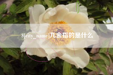 万宁九金指的是什么