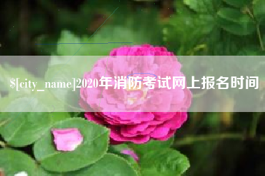 万宁2020年消防考试网上报名时间