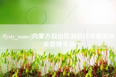 万宁内蒙古自治区消防技术服务执业管理平台