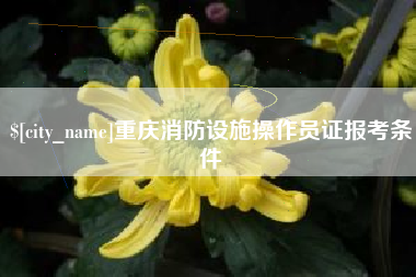 万宁重庆消防设施操作员证报考条件