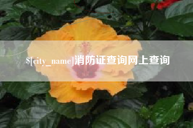 万宁消防证查询网上查询
