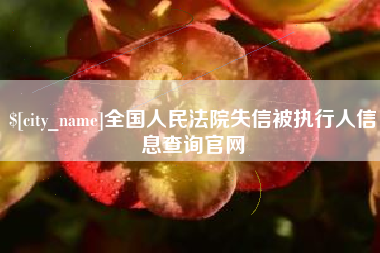 万宁全国人民法院失信被执行人信息查询官网