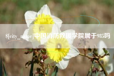 万宁中国消防救援学院属于985吗