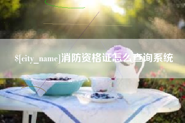 万宁消防资格证怎么查询系统