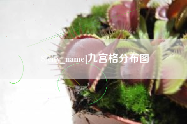 万宁九宫格分布图