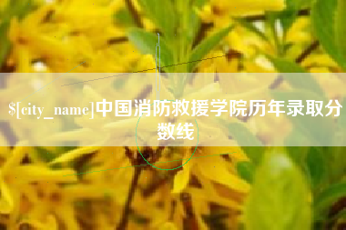 万宁中国消防救援学院历年录取分数线