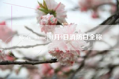 万宁11月9日消防日全称
