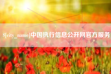 万宁中国执行信息公开网官方服务