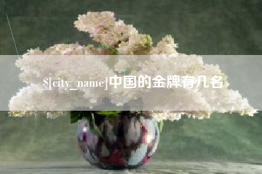 万宁中国的金牌有几名