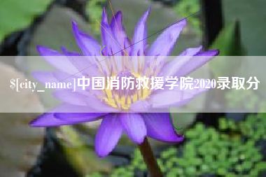 万宁中国消防救援学院2020录取分