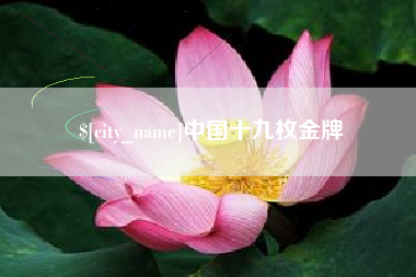 万宁中国十九枚金牌