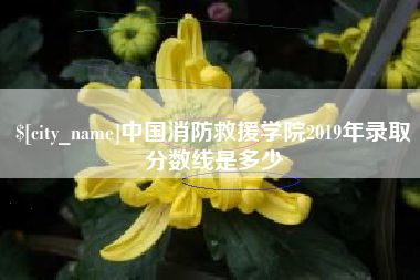 万宁中国消防救援学院2019年录取分数线是多少