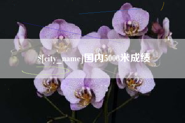 万宁国内5000米成绩